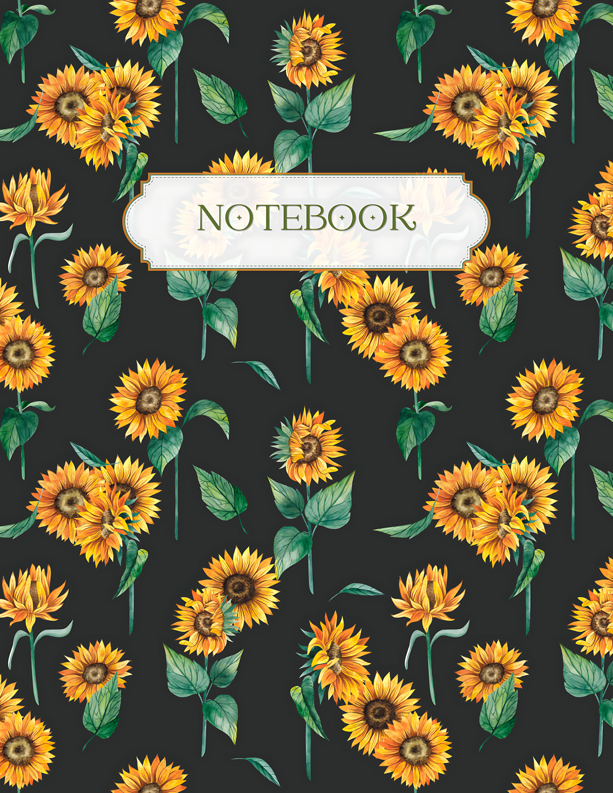 COVER 24